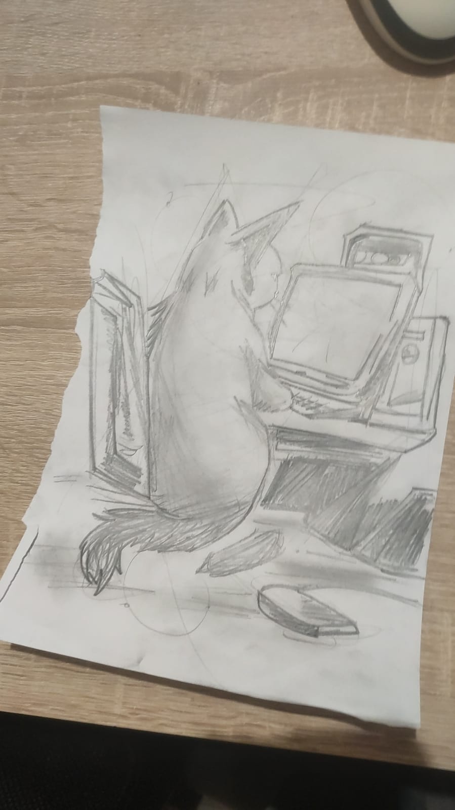 8781d9dc-c92b-40a6-a232-e4064f6e29b1