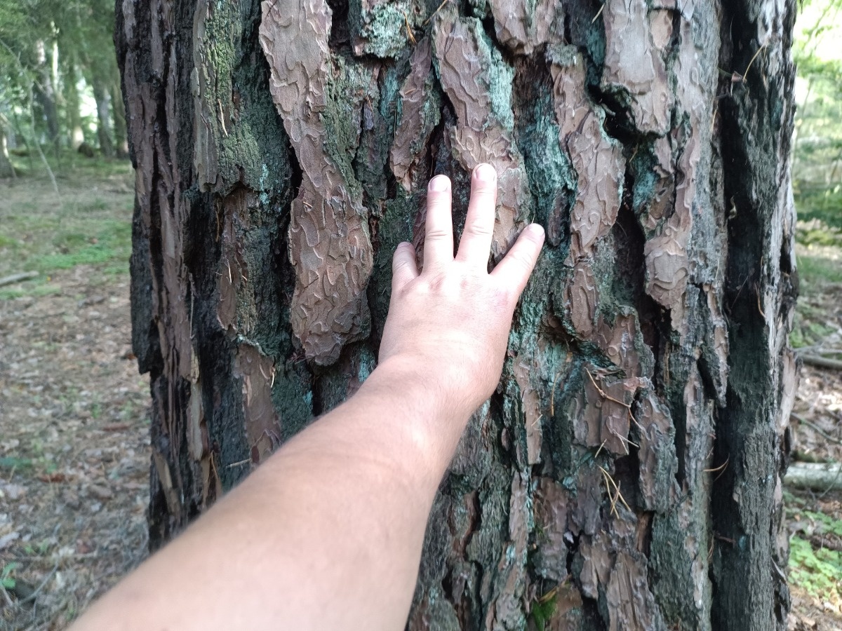 c3793a38-bbd4-4471-b94d-dba466accf4b