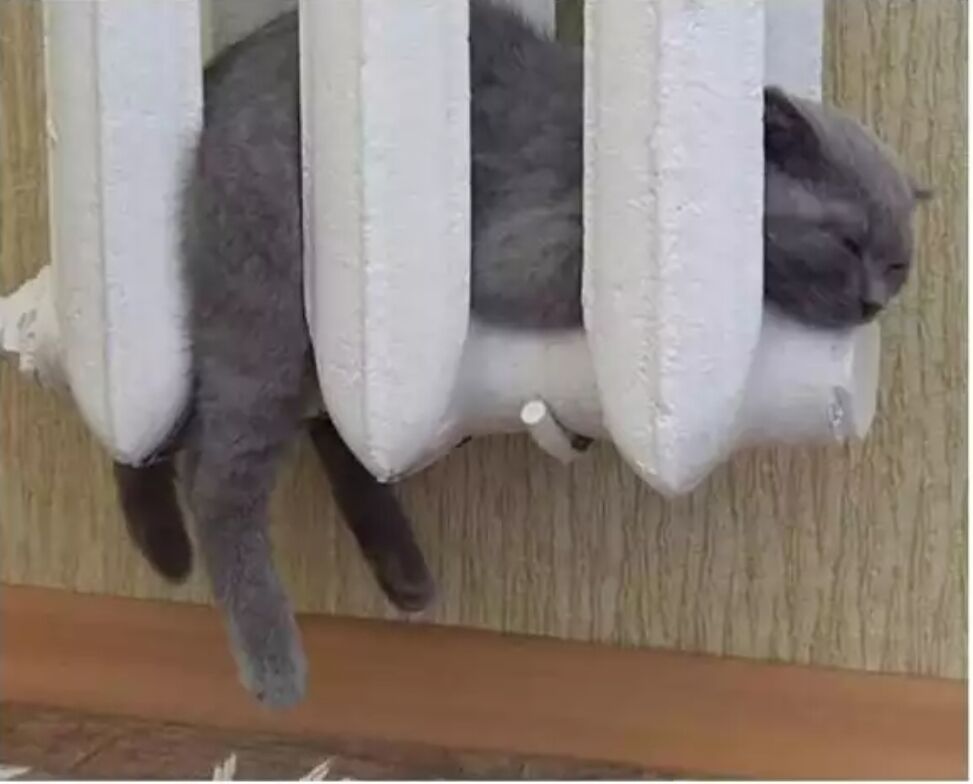 b0fcc71b-d6e5-49b1-a18a-8dc93e8d3254