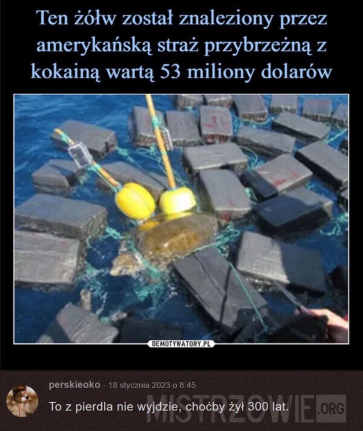 83ab0a65-4d55-477a-af8e-614312e57631