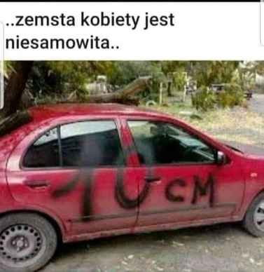 0c04ced7-ec2a-4af0-a2d4-3193ff017876