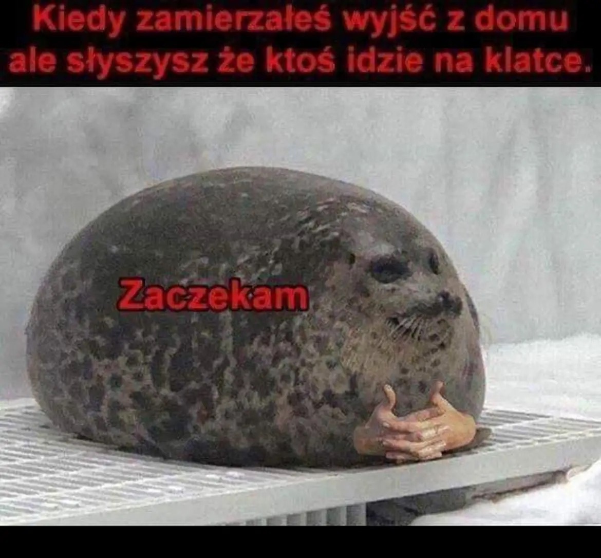 f015ff02-cb6b-4a79-9448-c9afd9a1918d