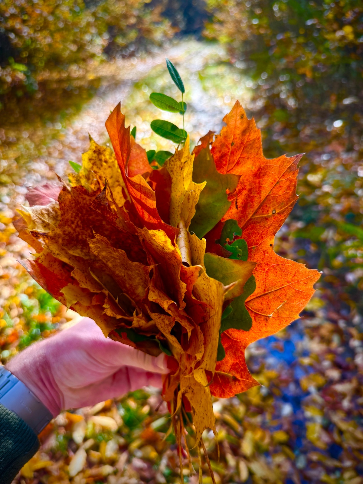 a35e59b0-fe5a-4153-91ba-ec8262f7e5a7