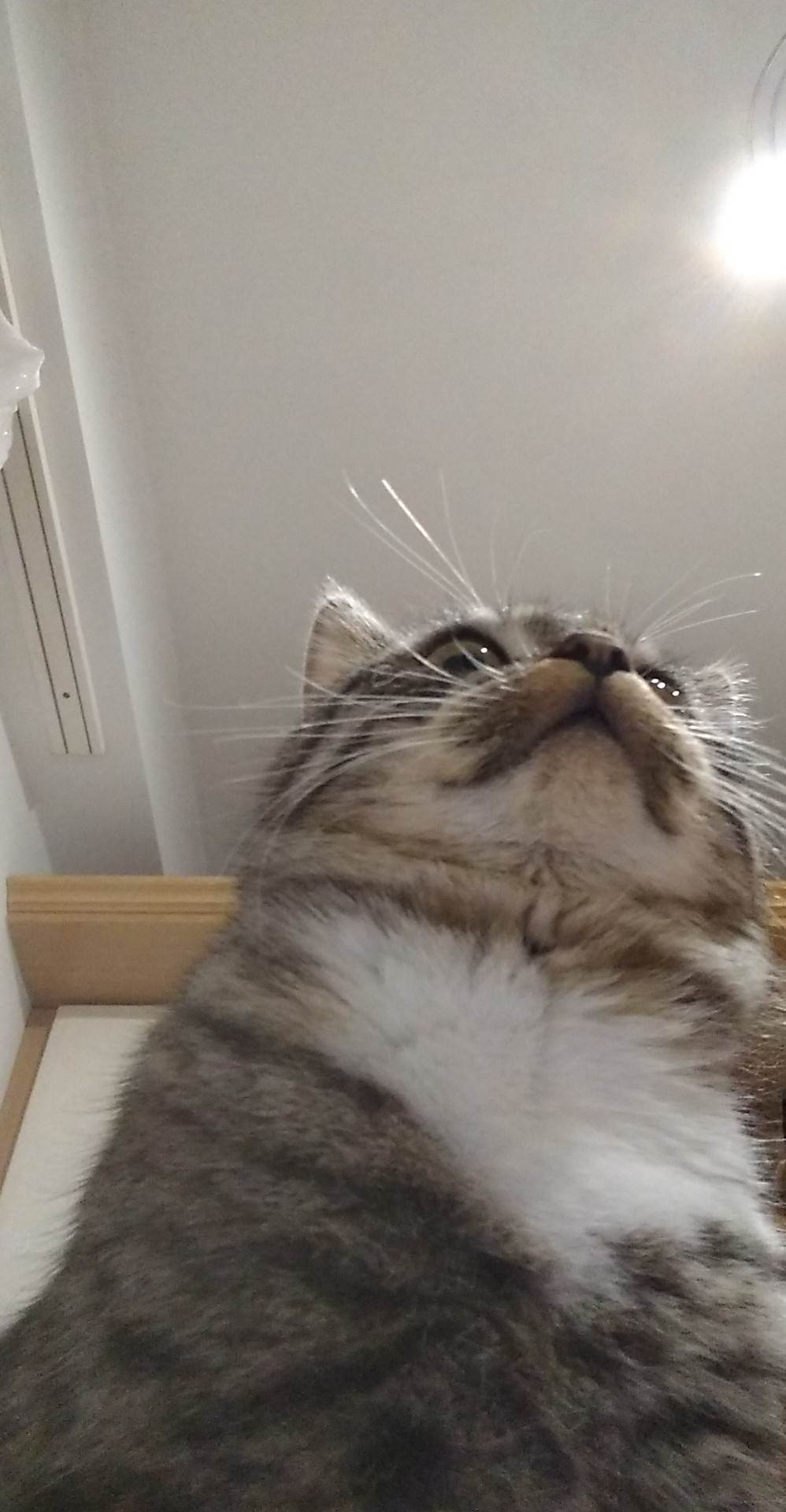 f585923d-23e2-47af-9b57-2f5fbfb40d65