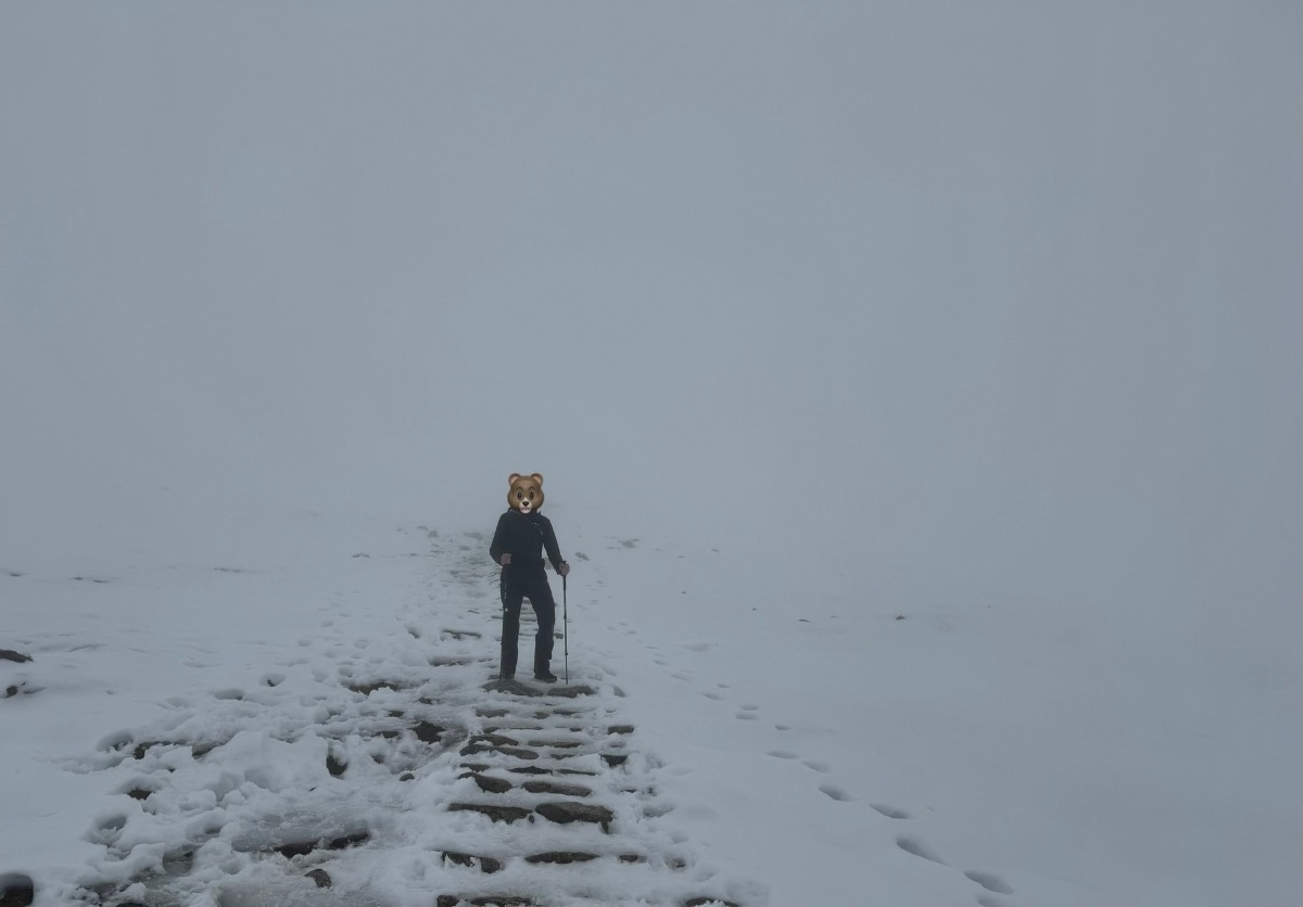 2f2df959-96dd-406d-949f-b129bba4e985