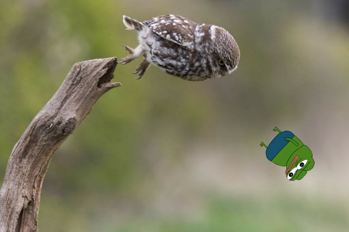 3cef5e28-bd70-41bf-ac8d-bdb3e9719531