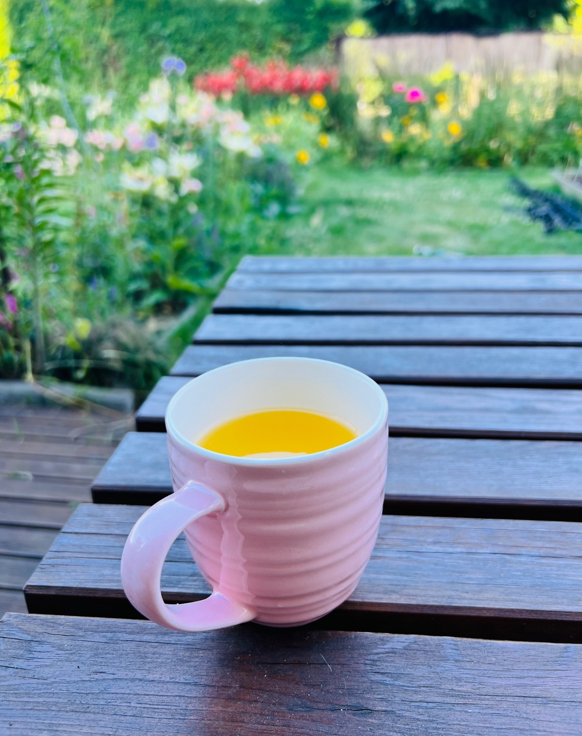 a2d69033-2dbe-4232-9170-9ff605d5dc2b