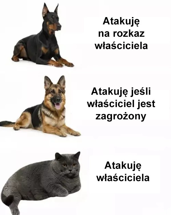 acc39631-eb51-48ca-b9e3-ce649ffbaadb