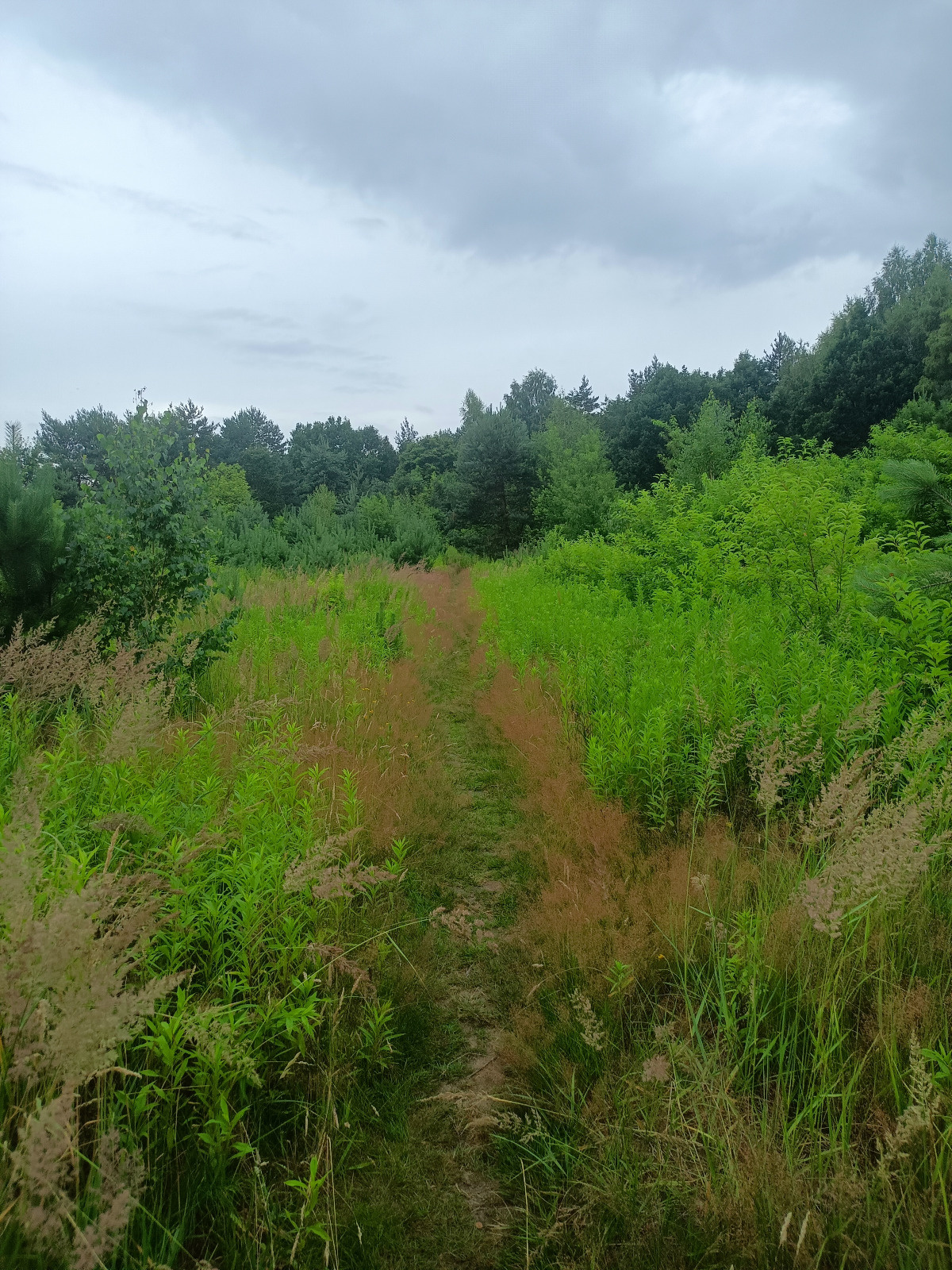 4acf0e9c-60f4-4e0e-9b3a-72ee68be20eb