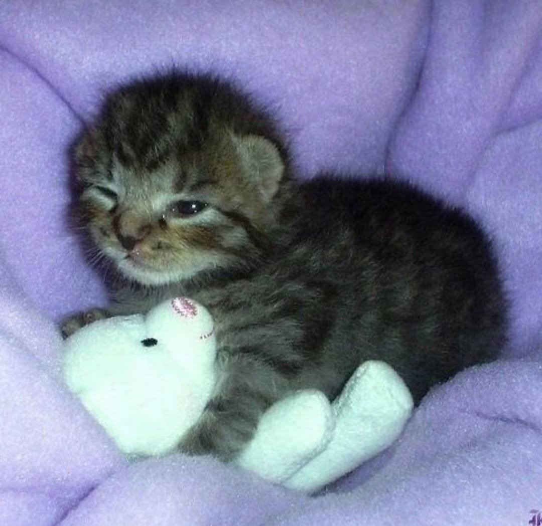 ef4a324f-6f34-4c33-a2a4-6a2aa95484ba