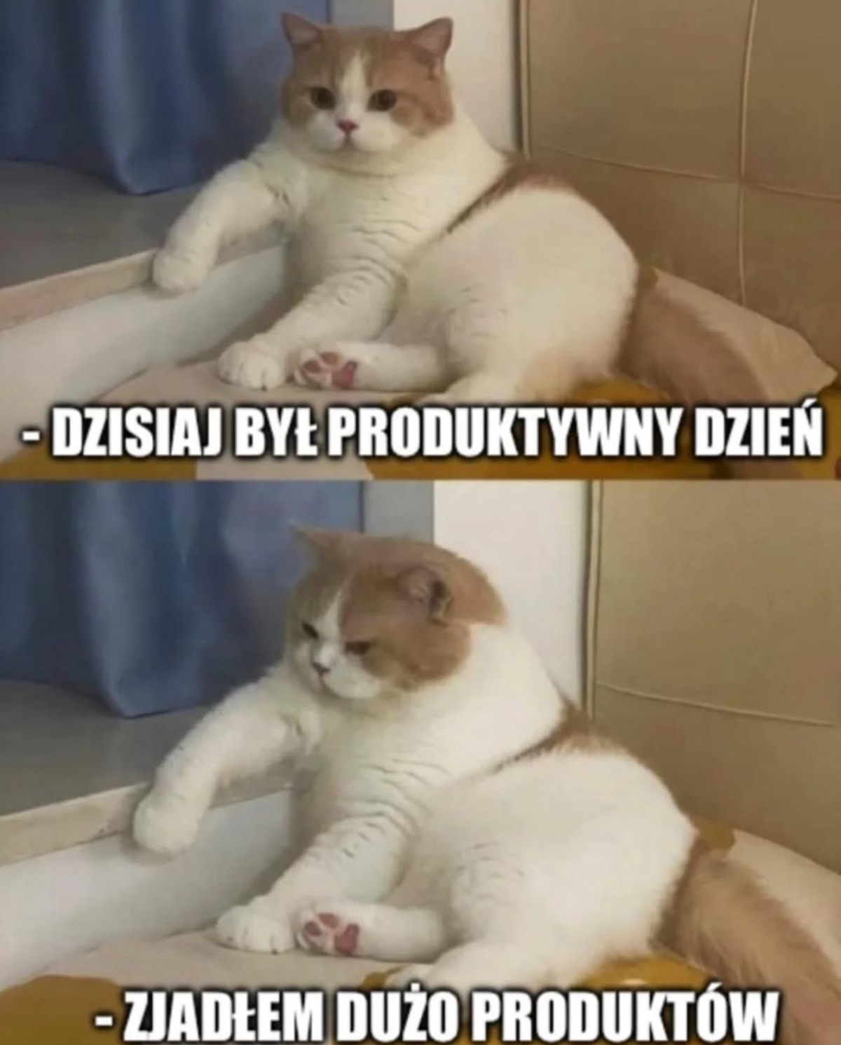 fb592ed5-2233-4f0a-b665-c91242a83089