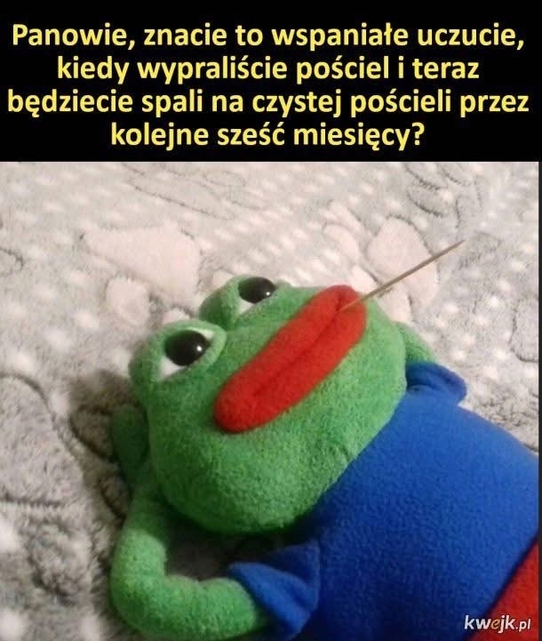 af69f65c-3f12-4a09-a3de-bed7e0c2ce6a