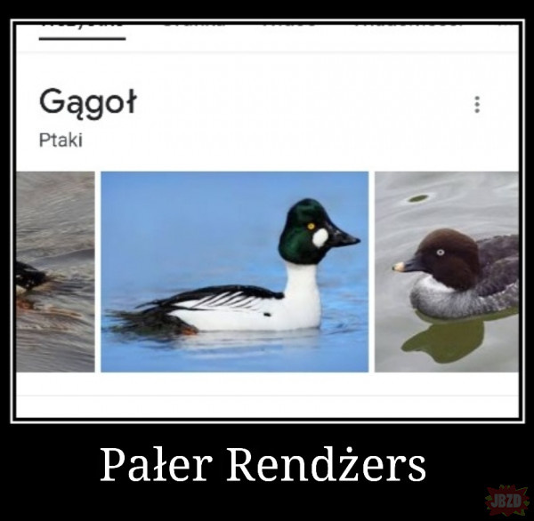 01ef59b9-6002-4a2b-a5d5-e2636deef793