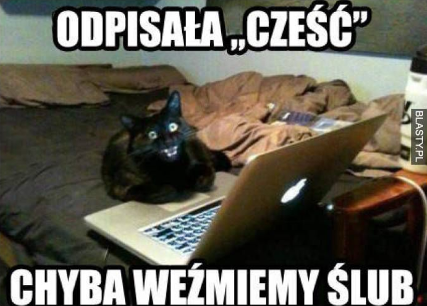 b38100de-52c4-4b75-8b6b-707c62cad806