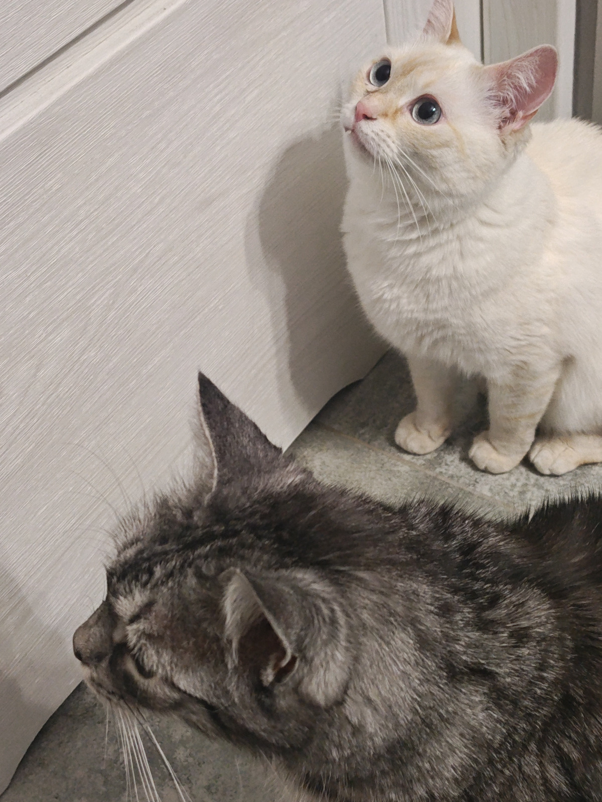 39e56798-7643-4a56-a0df-a4c5dd525557