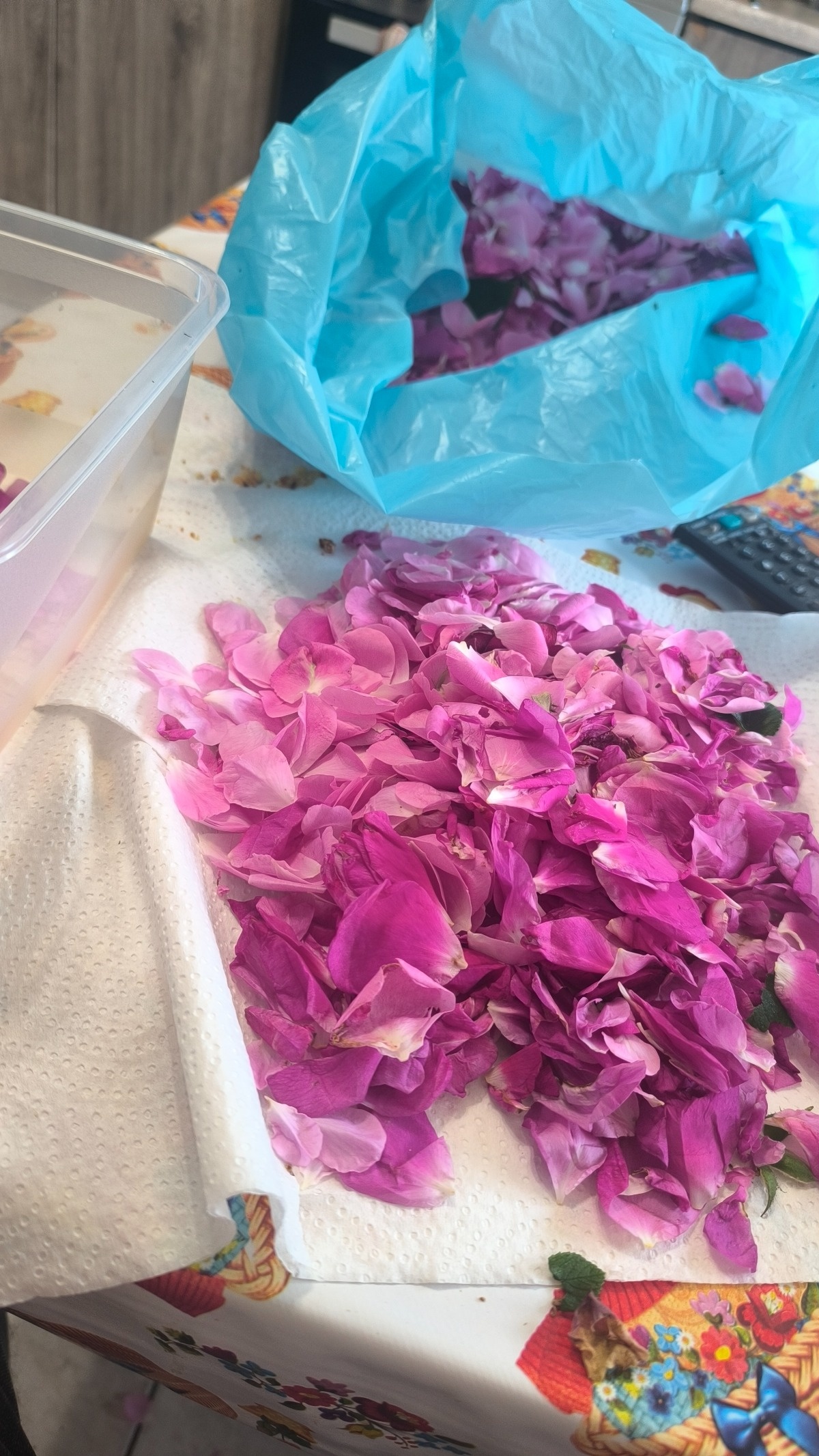 3d335bb7-7d9c-4a2c-9ea4-985342ee876d