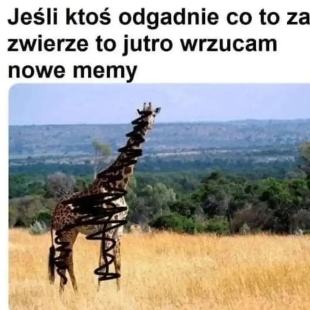 0ccee6d8-f7e2-4c0e-a1d3-ded88892e2ba