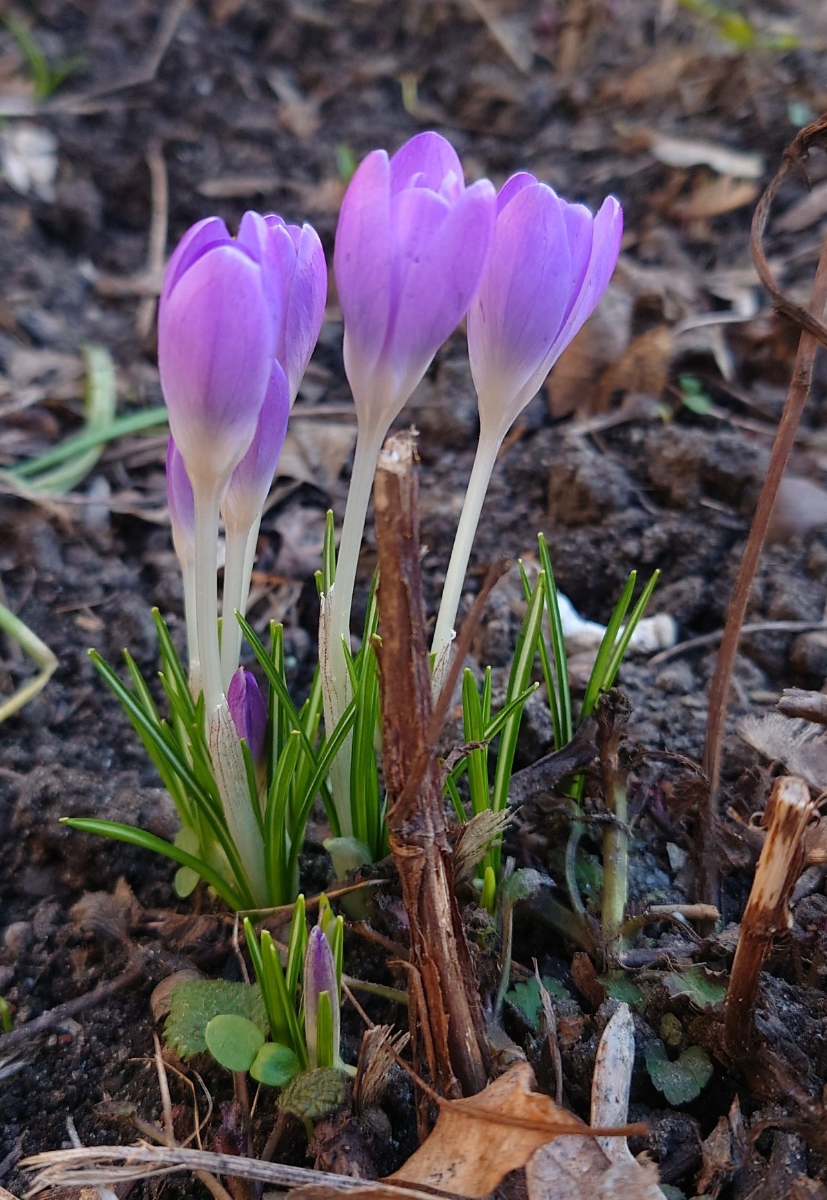 eb0a8c8a-633a-47ab-a97b-d3ae75616895