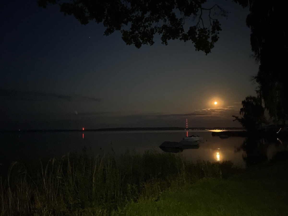 5ba94d75-a7f5-44fa-8271-389f9af926dc