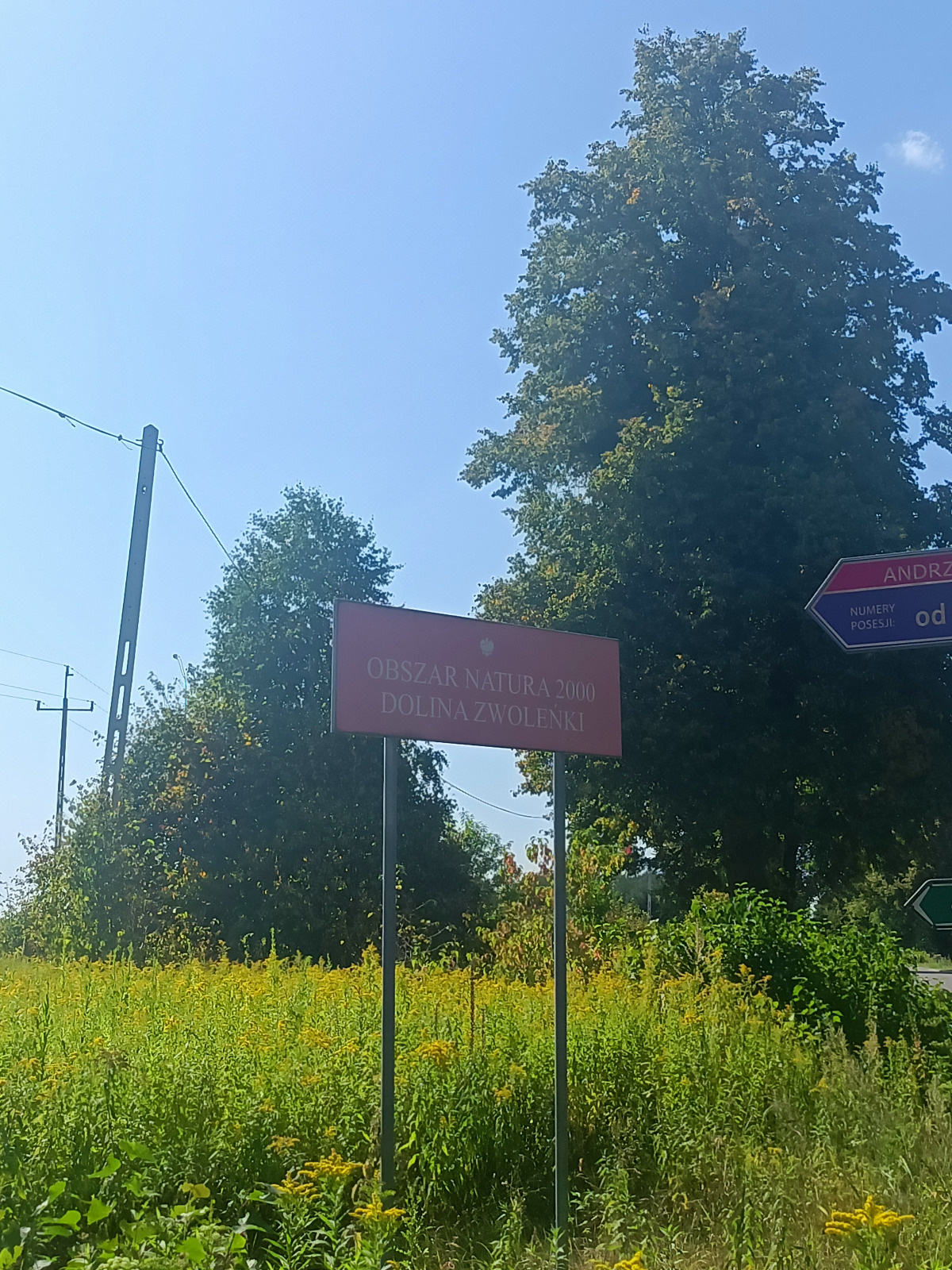 6a0967ef-5492-4fd3-a44c-90528675b324