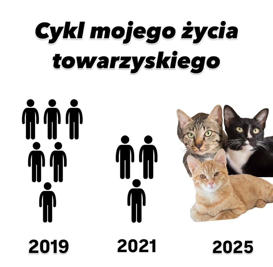 c4d5169b-c71e-45e7-b3bf-4c51e7d19f88