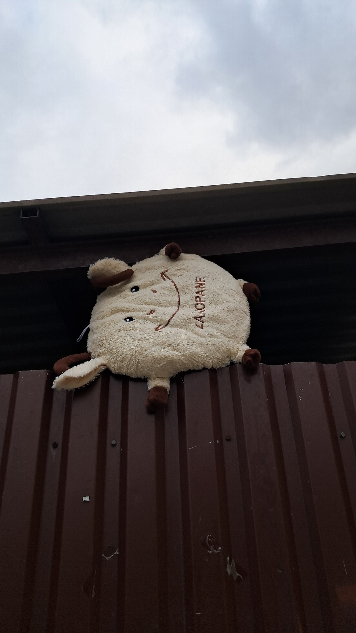 50fec976-2bff-46f9-9c08-467b557e2a44