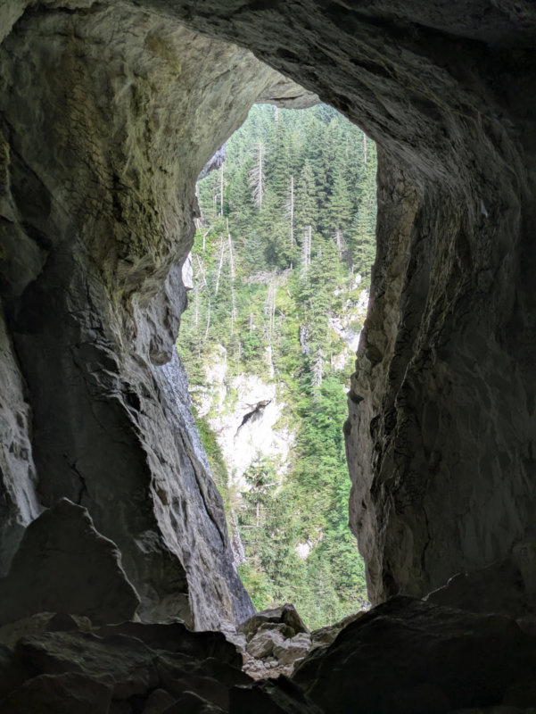 7daa07cc-9e29-49bd-8fc0-de20e56c5062