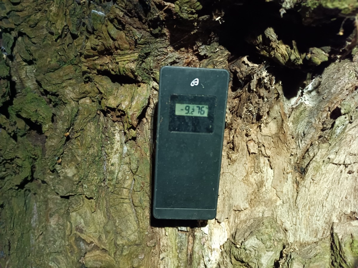 ac770f8b-ab18-4cd1-8e2f-4a2272834d8c