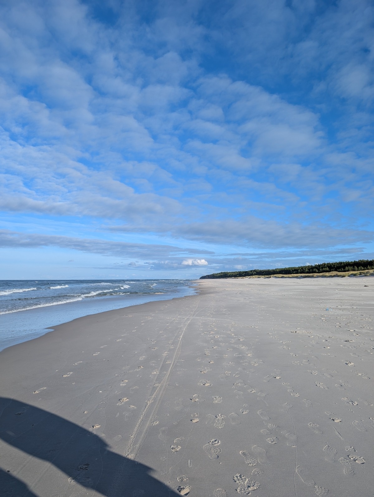 ec87fe52-416f-4d9a-b84c-a9e3a0c913a4