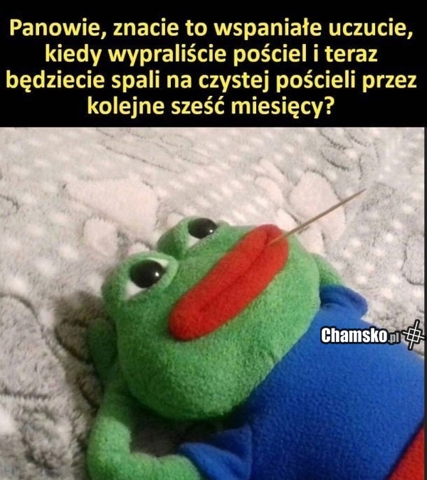 10f74a34-c434-4eb6-87a4-f002b71f4c54