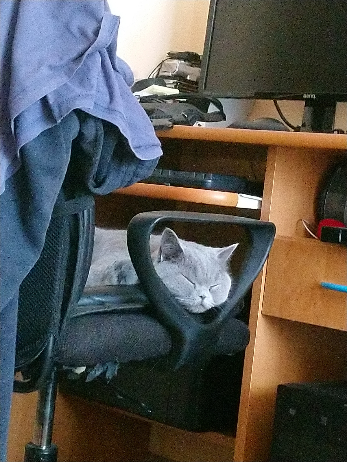 0b80379f-abbf-4809-84da-63343ba7d8ec