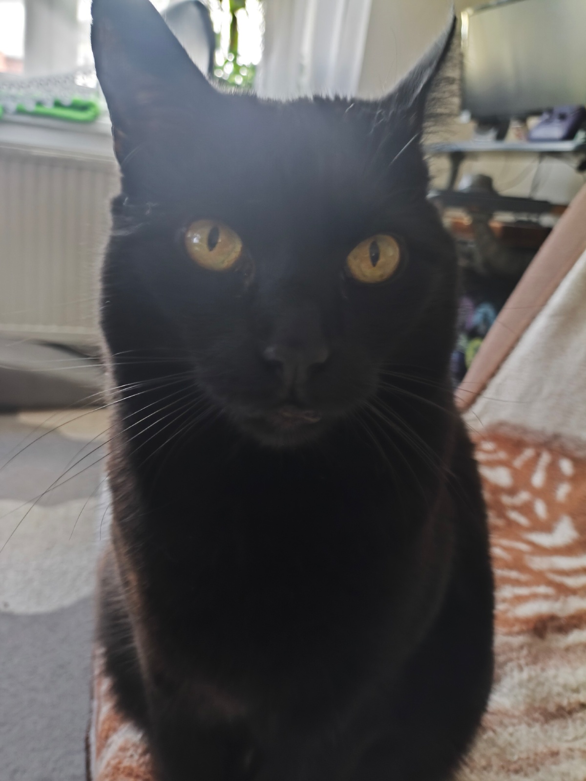 5bff8c17-b62a-457b-b2fb-23e2fceb05bc