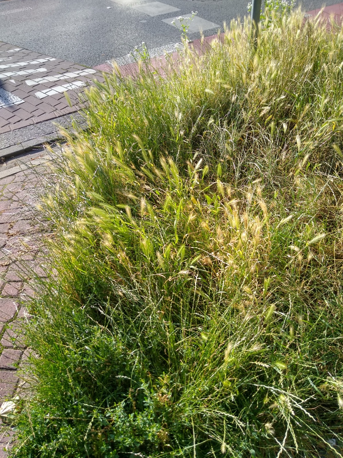 bd6e5e21-5159-425b-b362-3cd65d706a3a