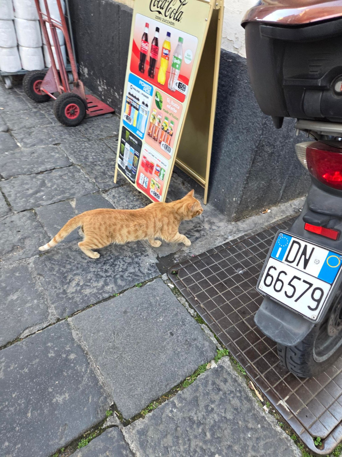 7653161f-c0c0-4a6e-a7d7-e3e274b017ab