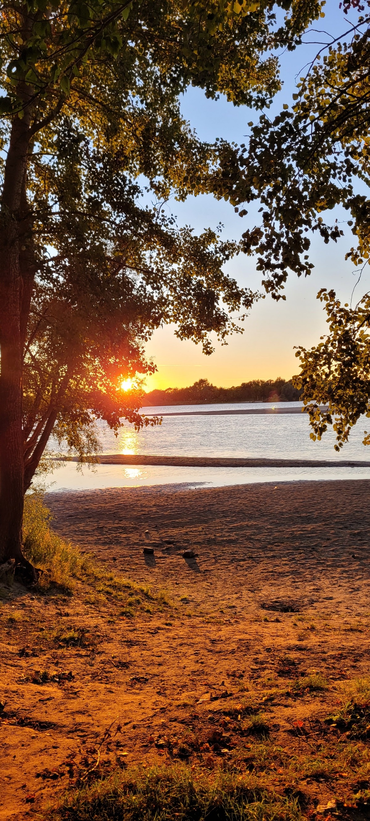 b60fdf88-1c5a-4202-9e74-963f01d1de3c