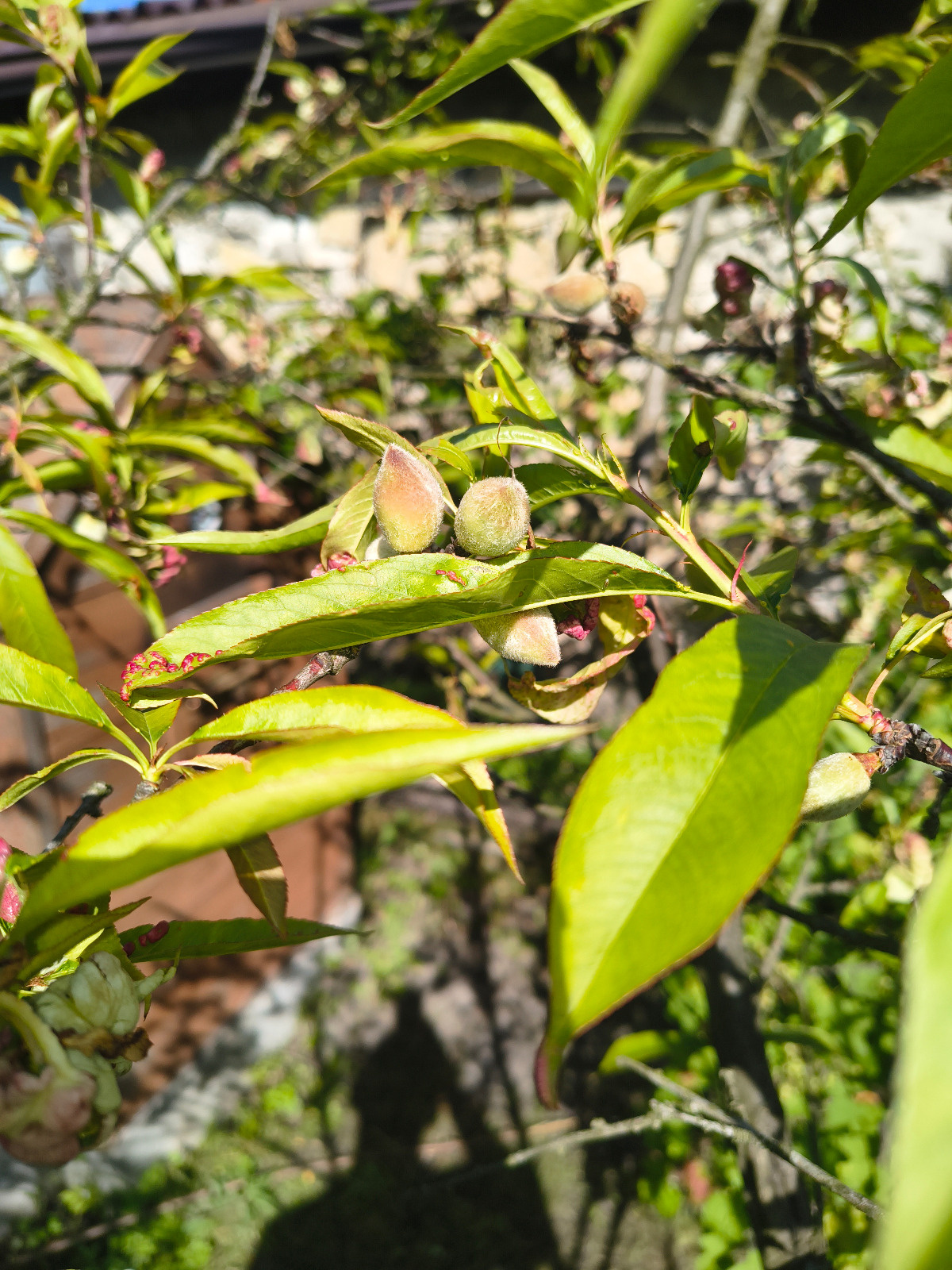 2cbe9137-a15b-4c9b-805b-36de79978768