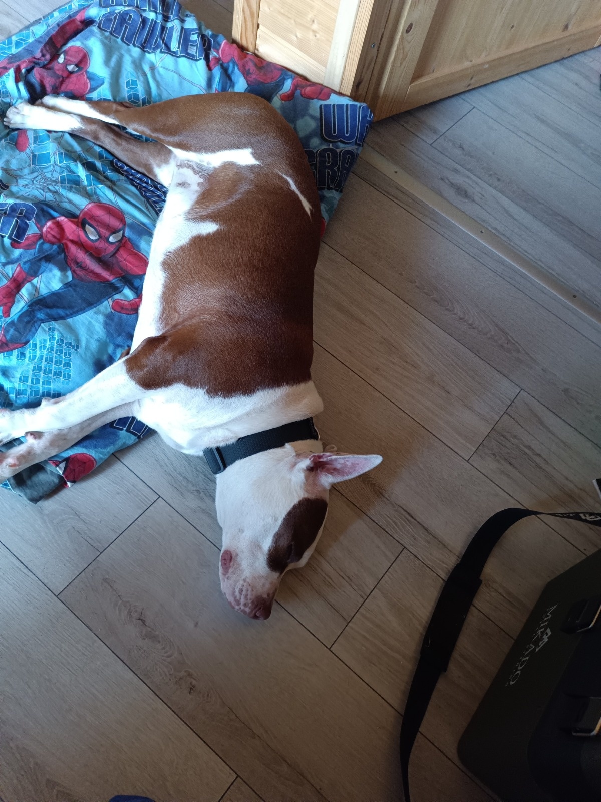 6e44acaa-0e58-42bc-a63a-6eddaf3e9f48