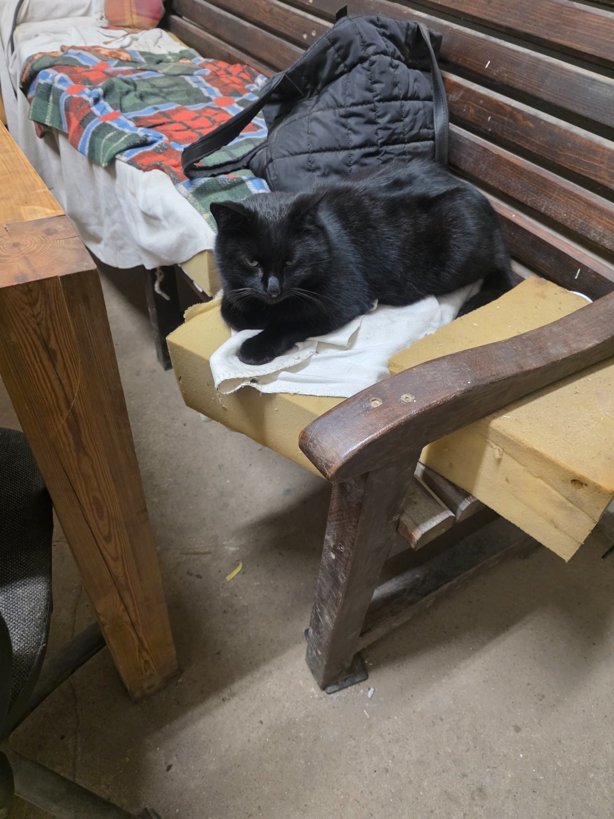 1c7b29ae-347c-433b-a055-5ba9dc60d21b