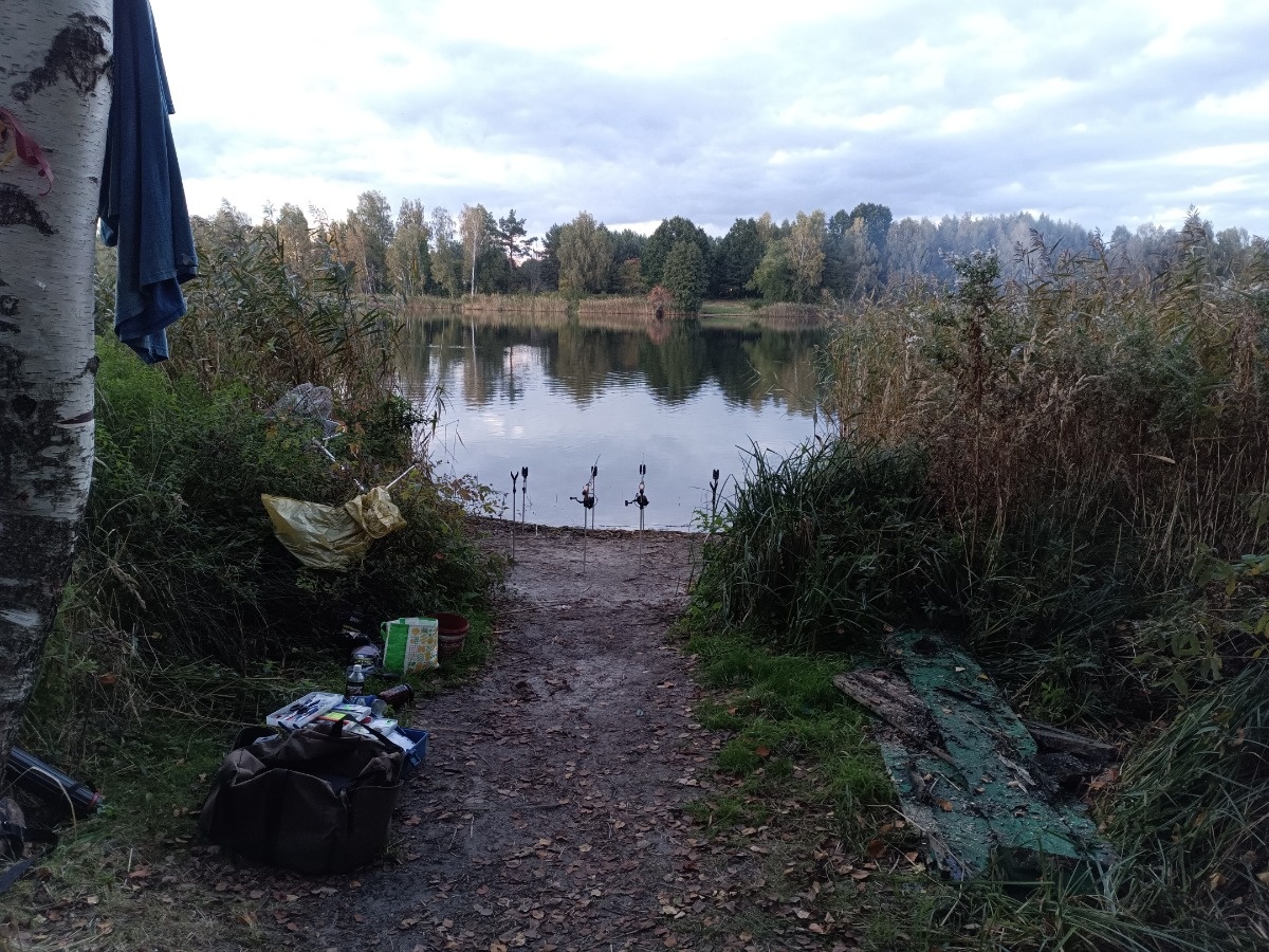 c2e98852-7b74-4da8-846e-814043738361