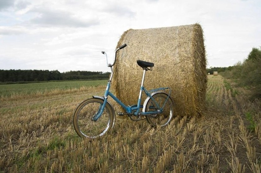 25597d45-cb31-4128-8f65-fc535b2bcc74