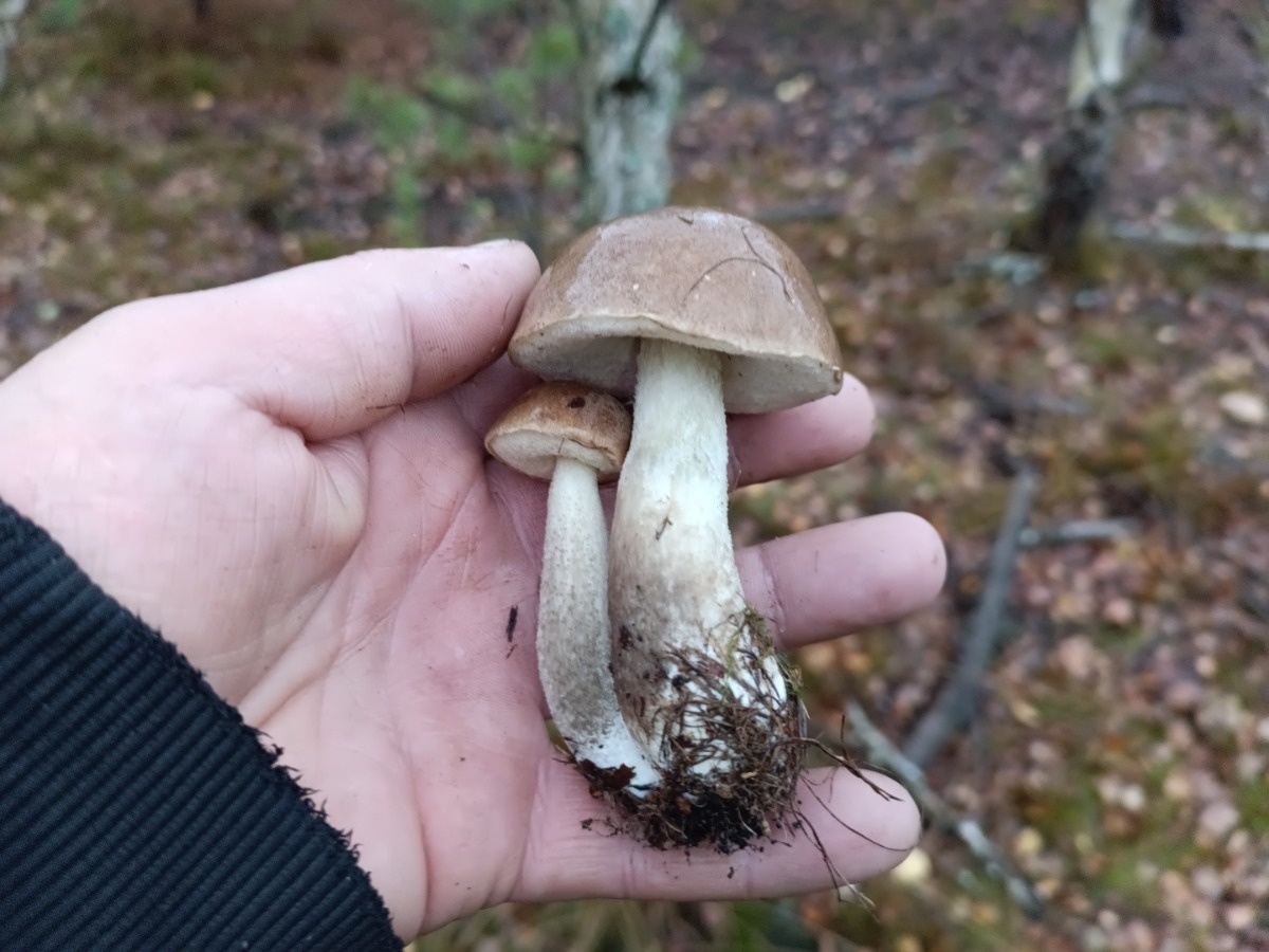 f1ccecdf-05ba-4e46-a665-a16ddc5b8b31