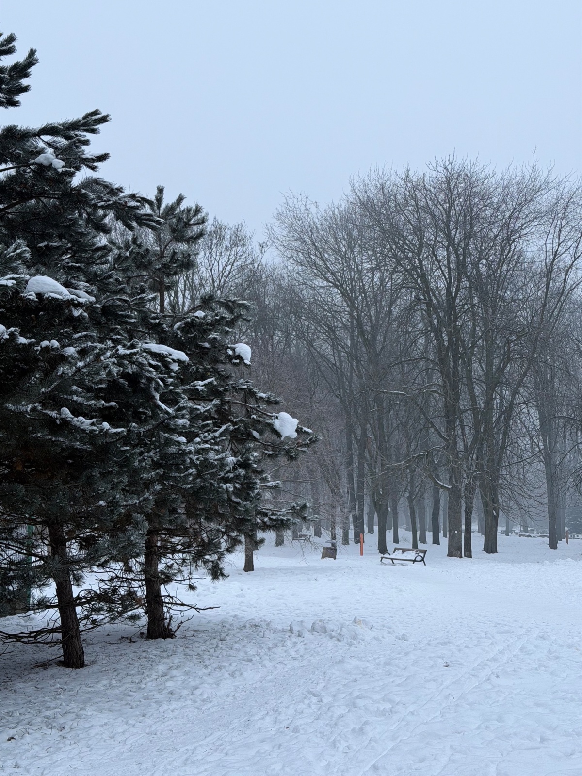 6e70d250-f24b-4ea9-9809-c3577031287b