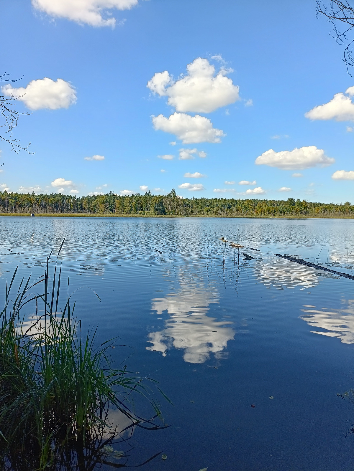 12ac63ff-1997-42dc-8684-12eecd7b1cd6