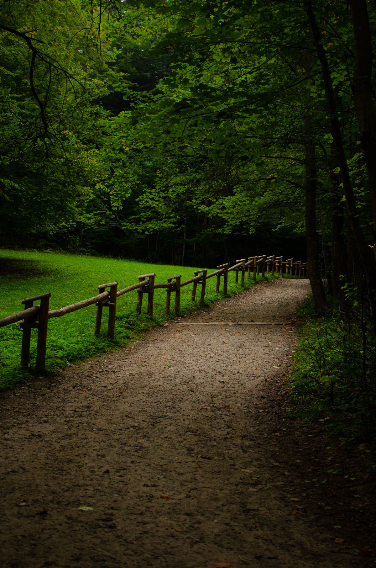 399f97f0-aac1-489e-b831-e21576637c33