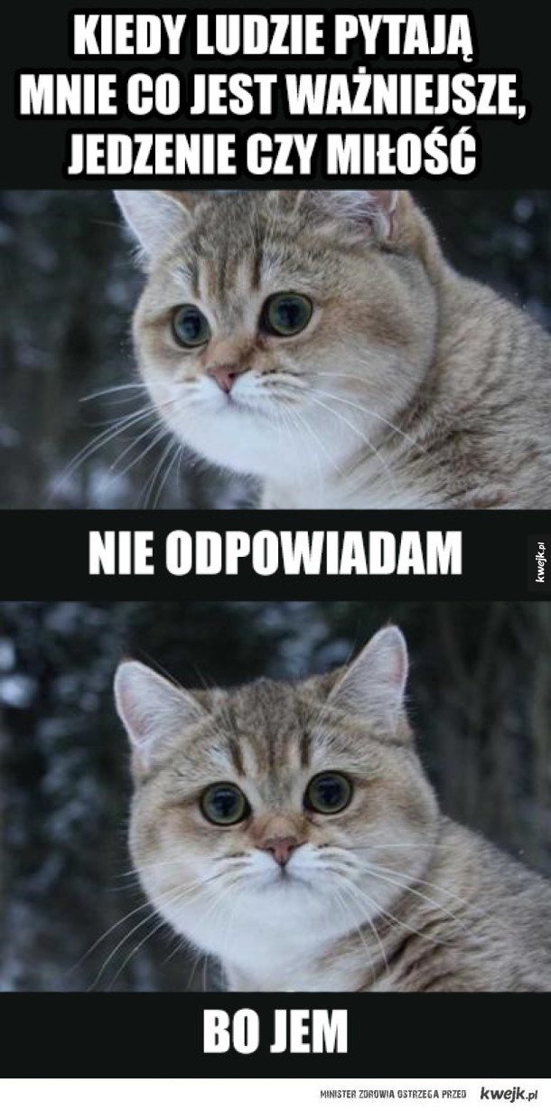 45deaead-333a-4de4-b371-e964a27503e2