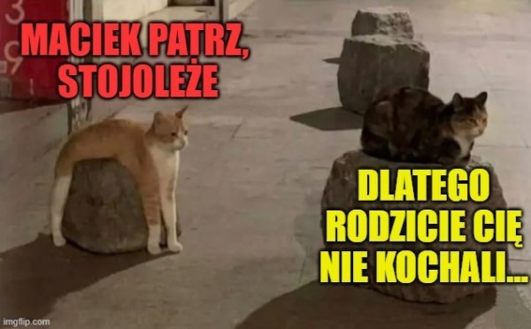 ba8fe9fb-adbf-4499-ba5f-f6d4b6166567