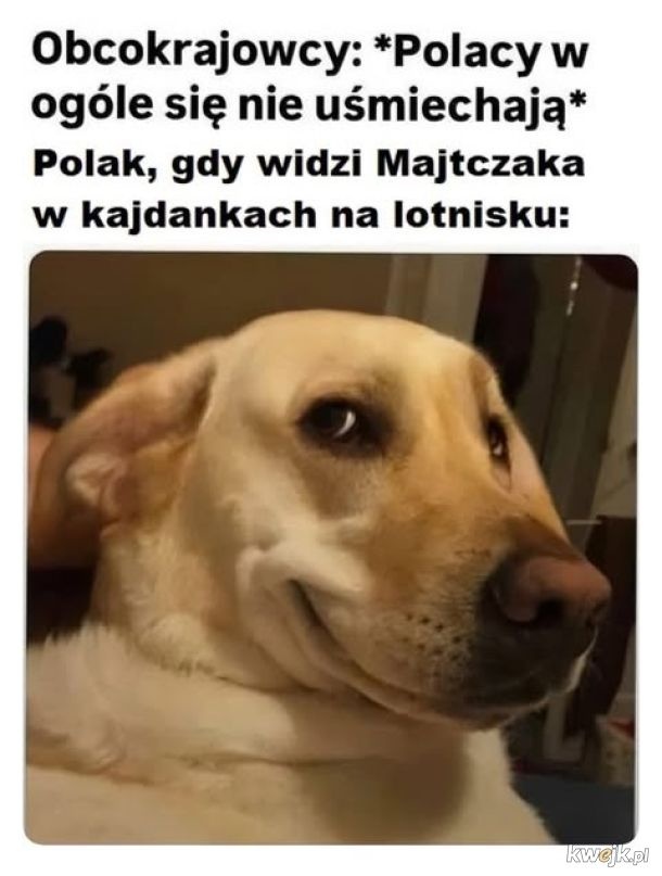 aff90d6c-28bc-4d32-9d3c-8eccd4f4907f