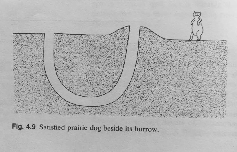 d55fb44f-9a0b-4382-9d75-2e38dfa61417