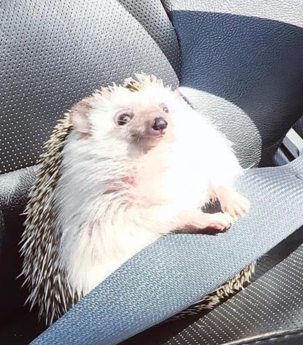 30784e4d-2d35-4122-be78-93f4d62ee1ba