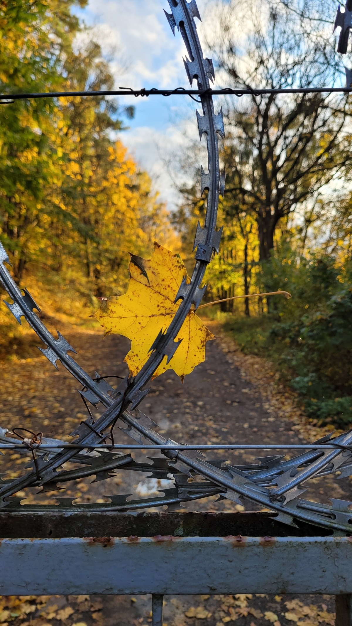 97d331de-0949-42cb-ba4a-f807e7ce0836